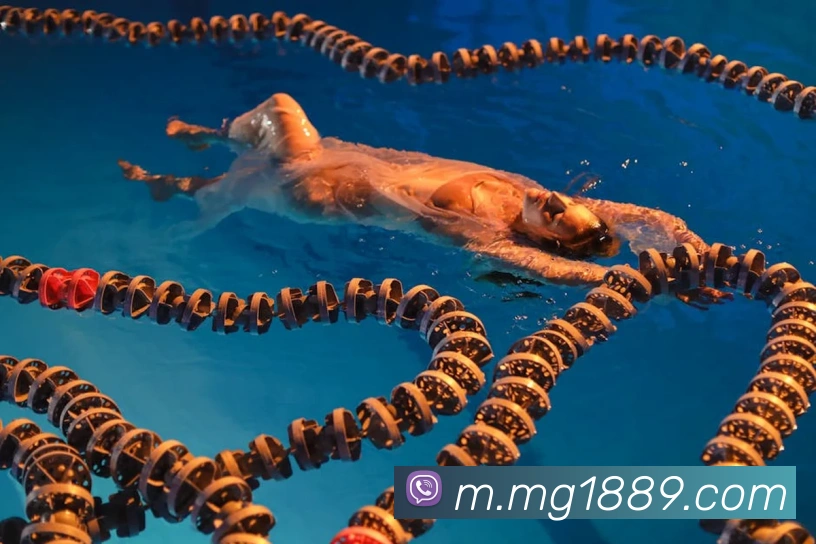 App Interface Preview