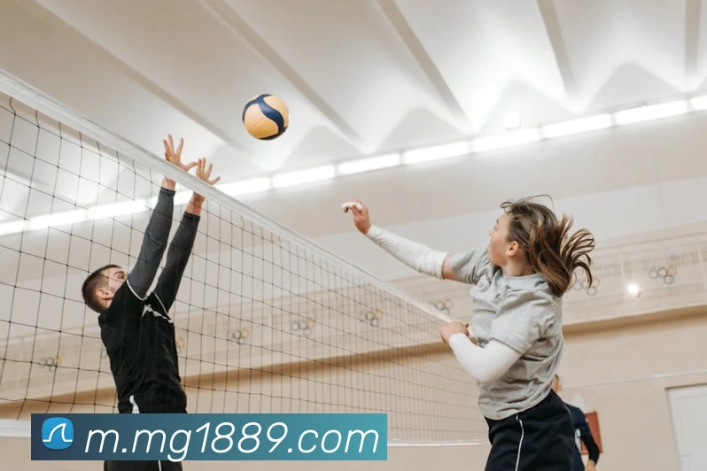 MG娱乐平台官网APP 封面图